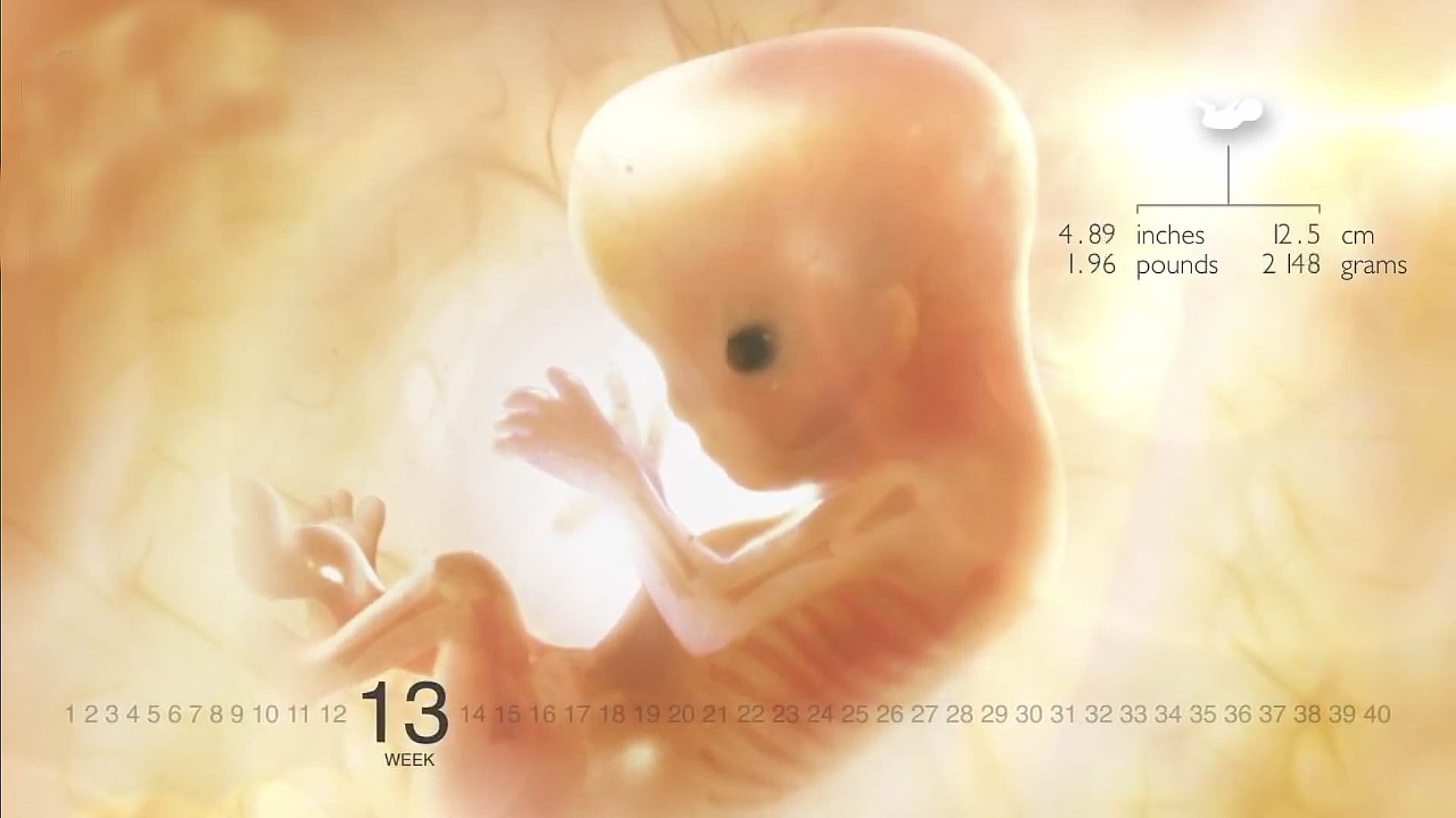 14 недель беременности грудь форум фото 58