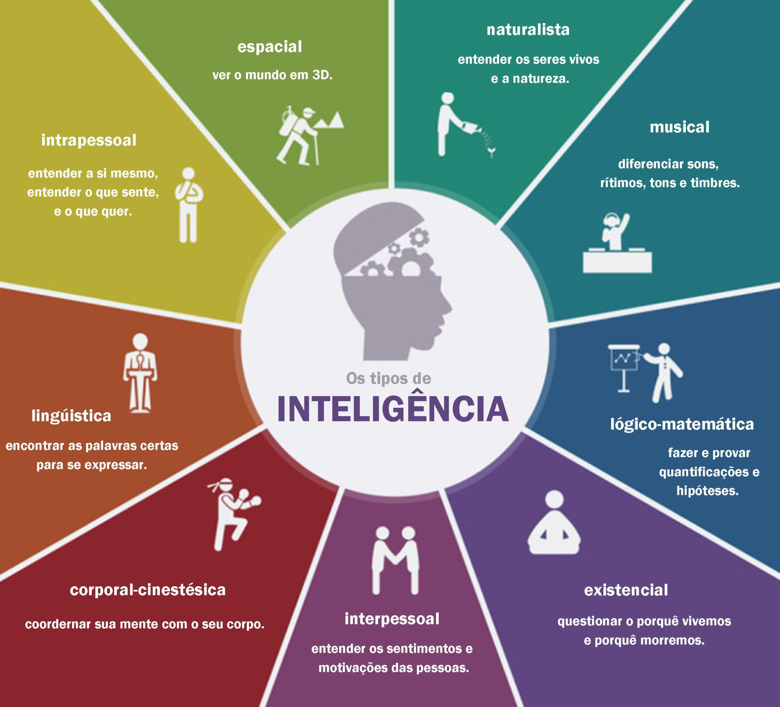 multiplas inteligencias